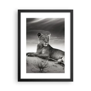 Affisch i svart ram - Öknens drottnings vila - 30x40 cm