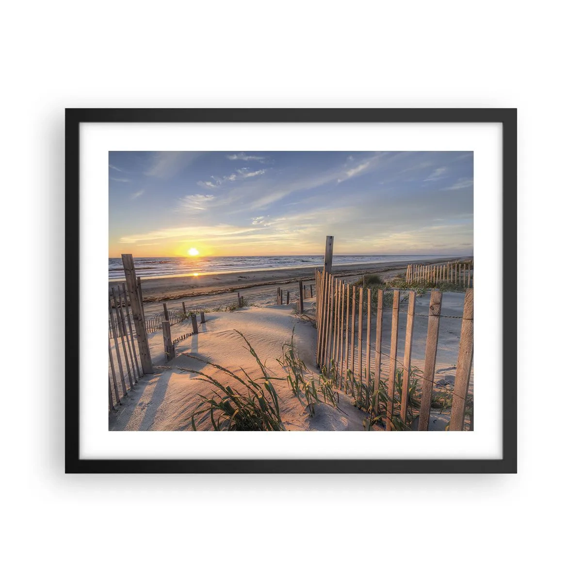 Affisch i svart ram - Vindens sken och skugga - 50x40 cm