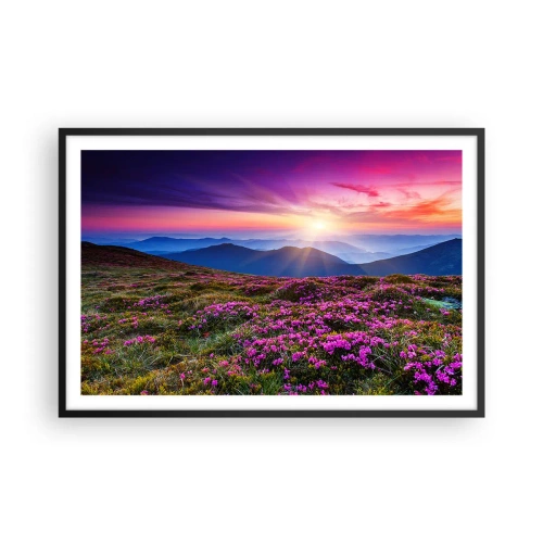 Affisch i svart ram - Doftande örter - 91x61 cm