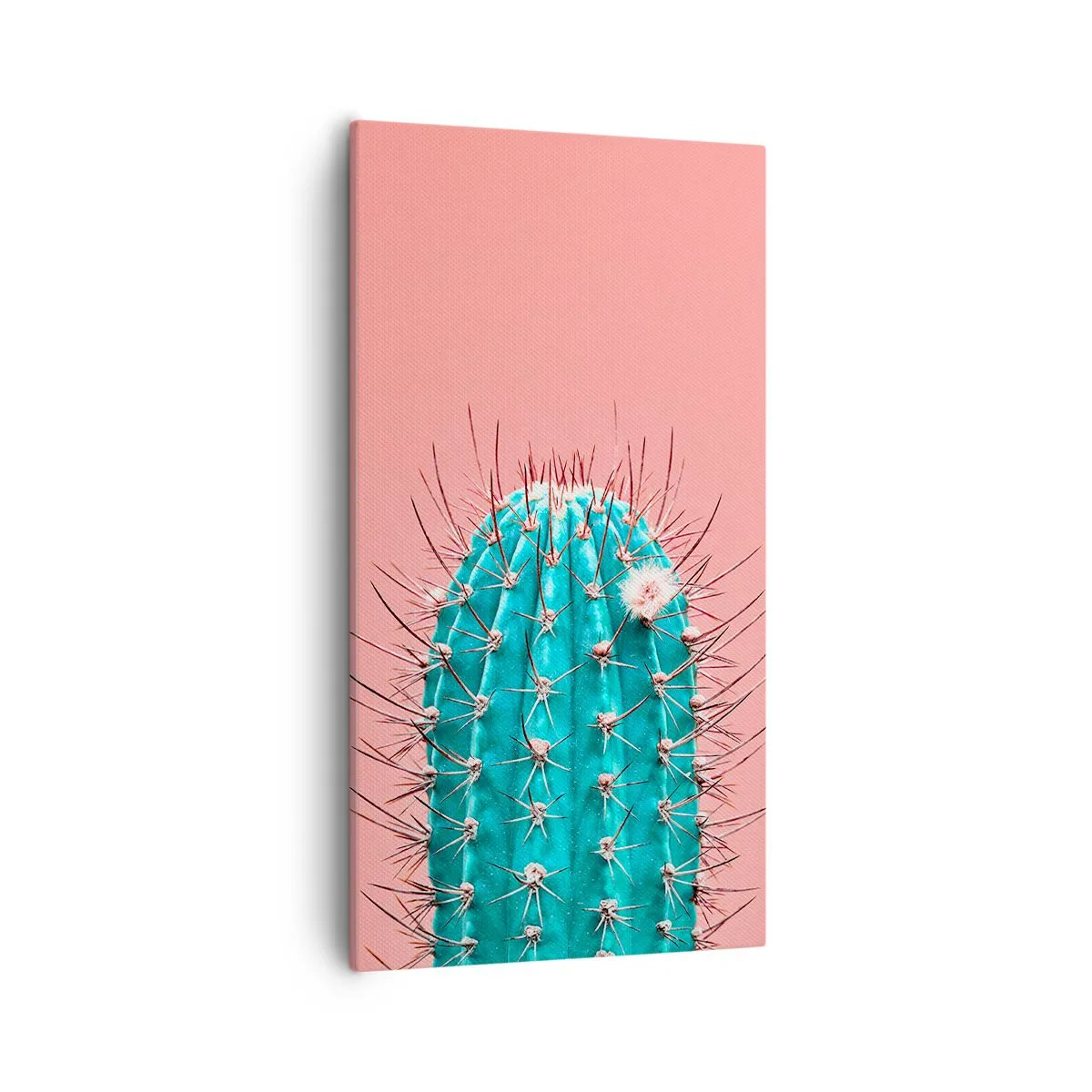 Canvastavla - Bild på duk - Titta bara - 55x100 cm