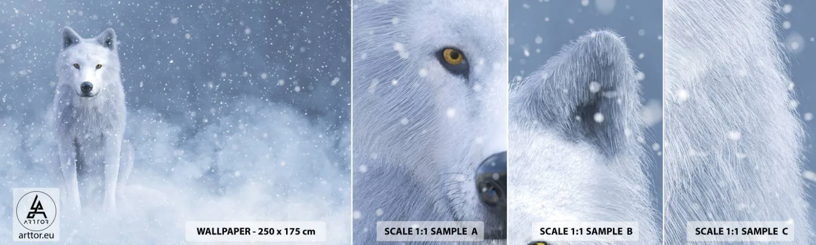 Fototapet Prov Standard Eco - I vinter anda - vit varg, Djur, Vinter - 100x30 cm