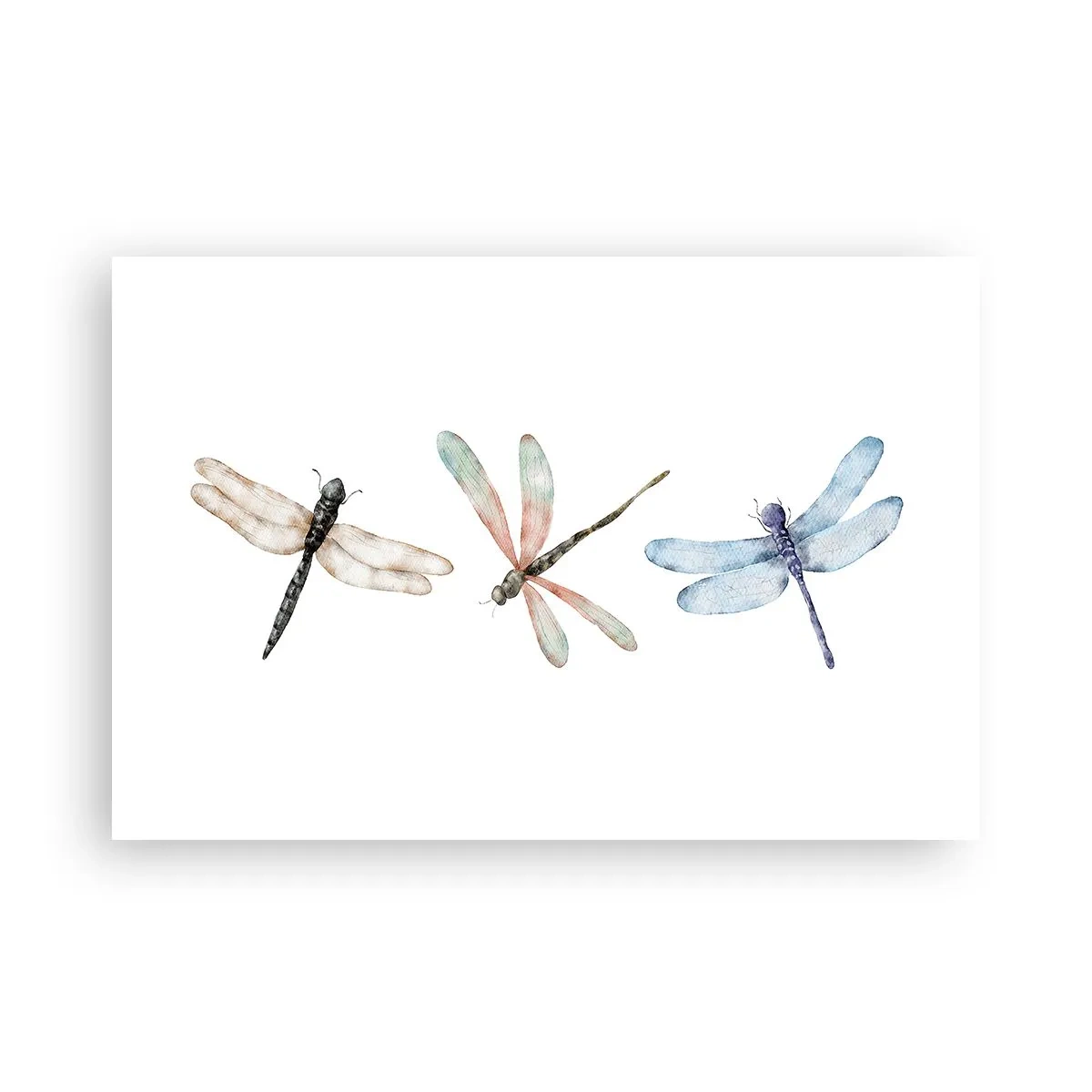 Affisch - Viktlösa trollsländor - 91x61 cm