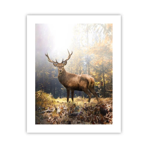 Affisch - I fullt majestät - 40x50 cm