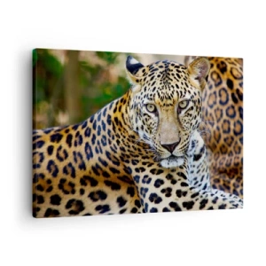 Canvastavla - Bild på duk - Jaguar vilar i naturlig omgivning med en grön bakgrund. - 70x50cm - Vild och lugn - Modern väggdekoration för vardagsrum och sovrum ARTTOR
