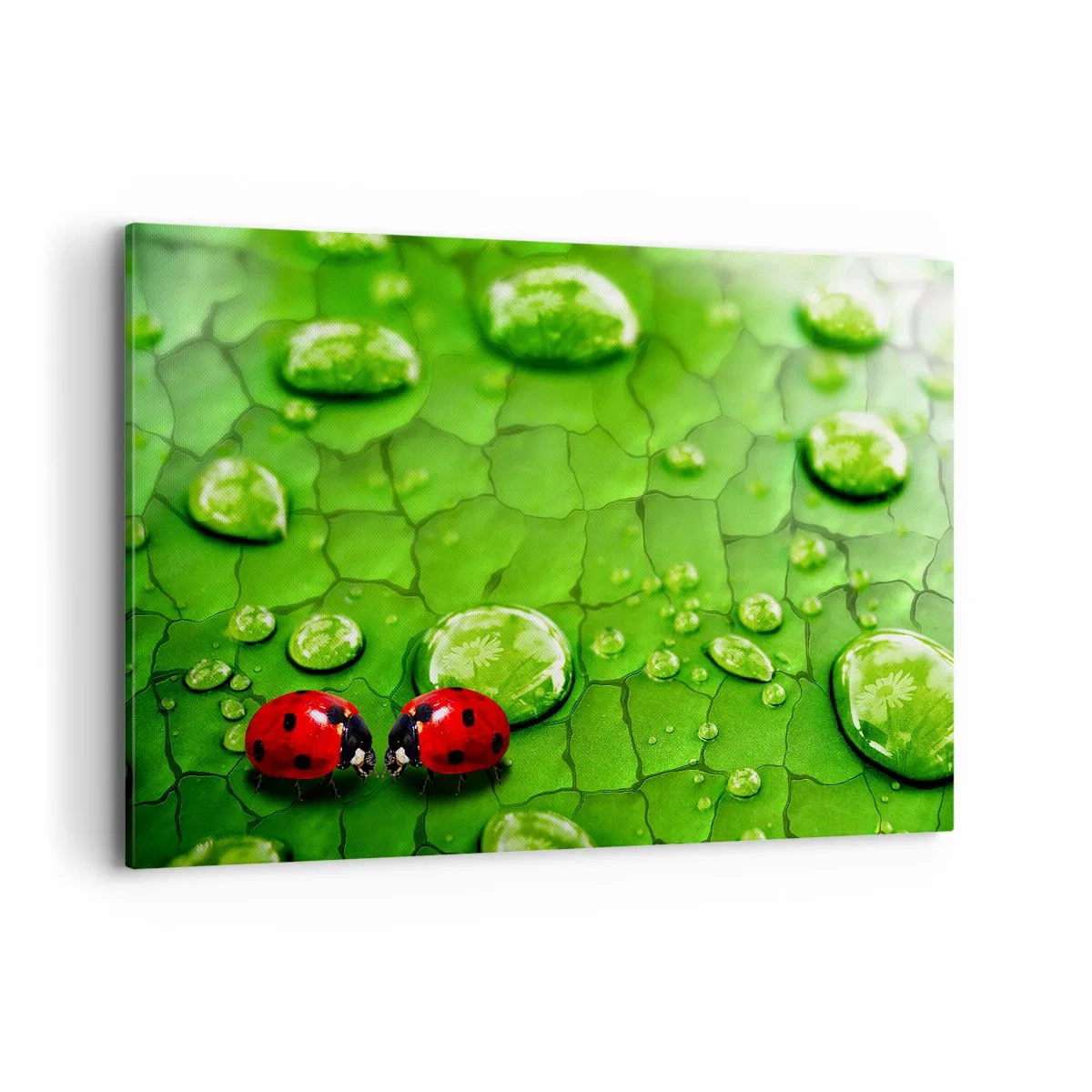 Canvastavla - Bild på duk - Ett möte i det gröna - 120x80 cm