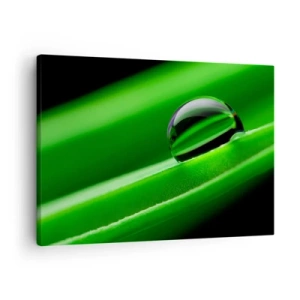 Canvastavla - Bild på duk - Närbild av en daggdroppe på ett grönt blad - 70x50cm - Livet på nära håll - Modern väggdekoration för vardagsrum och sovrum ARTTOR