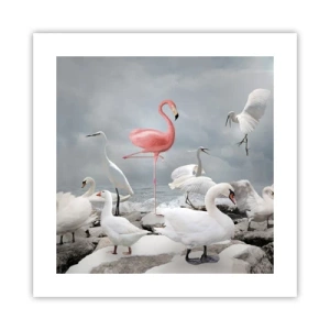 Affisch - Hur har jag hamnat här? - 40x40 cm