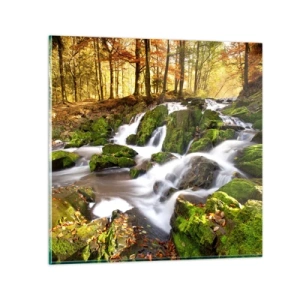 Glastavla - Bild på glas - Kvickt genom höstskogen - 70x70 cm