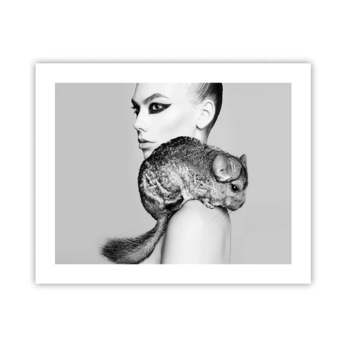 Affisch - Dam med chinchilla - 50x40 cm