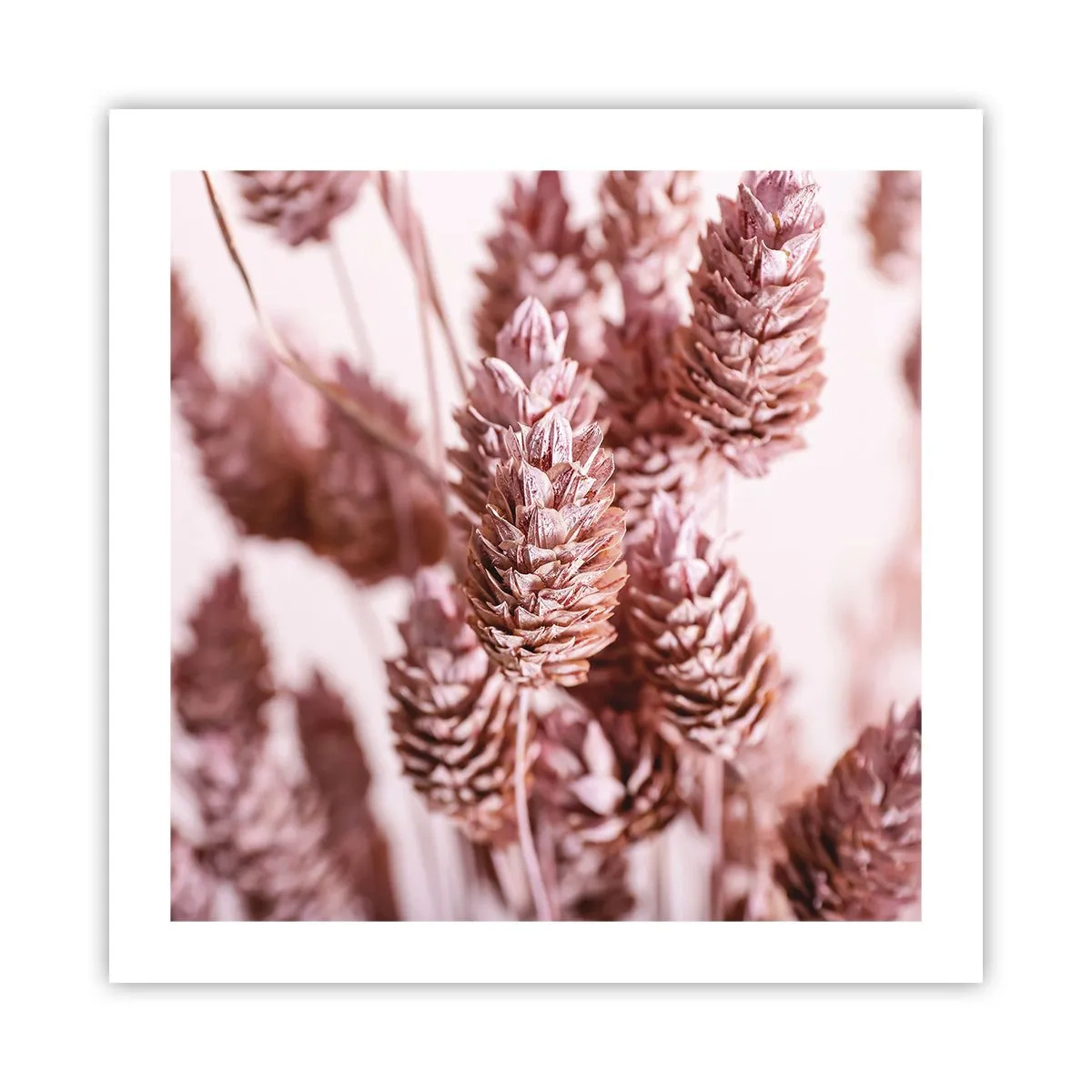 Affisch - Skenet bedrar - 50x50 cm