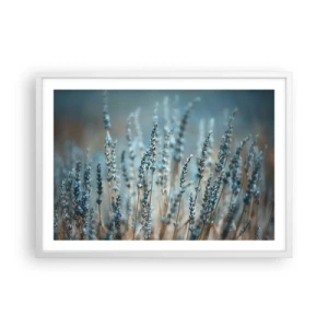 Affisch i vit ram - Doftande åkermark - 70x50 cm