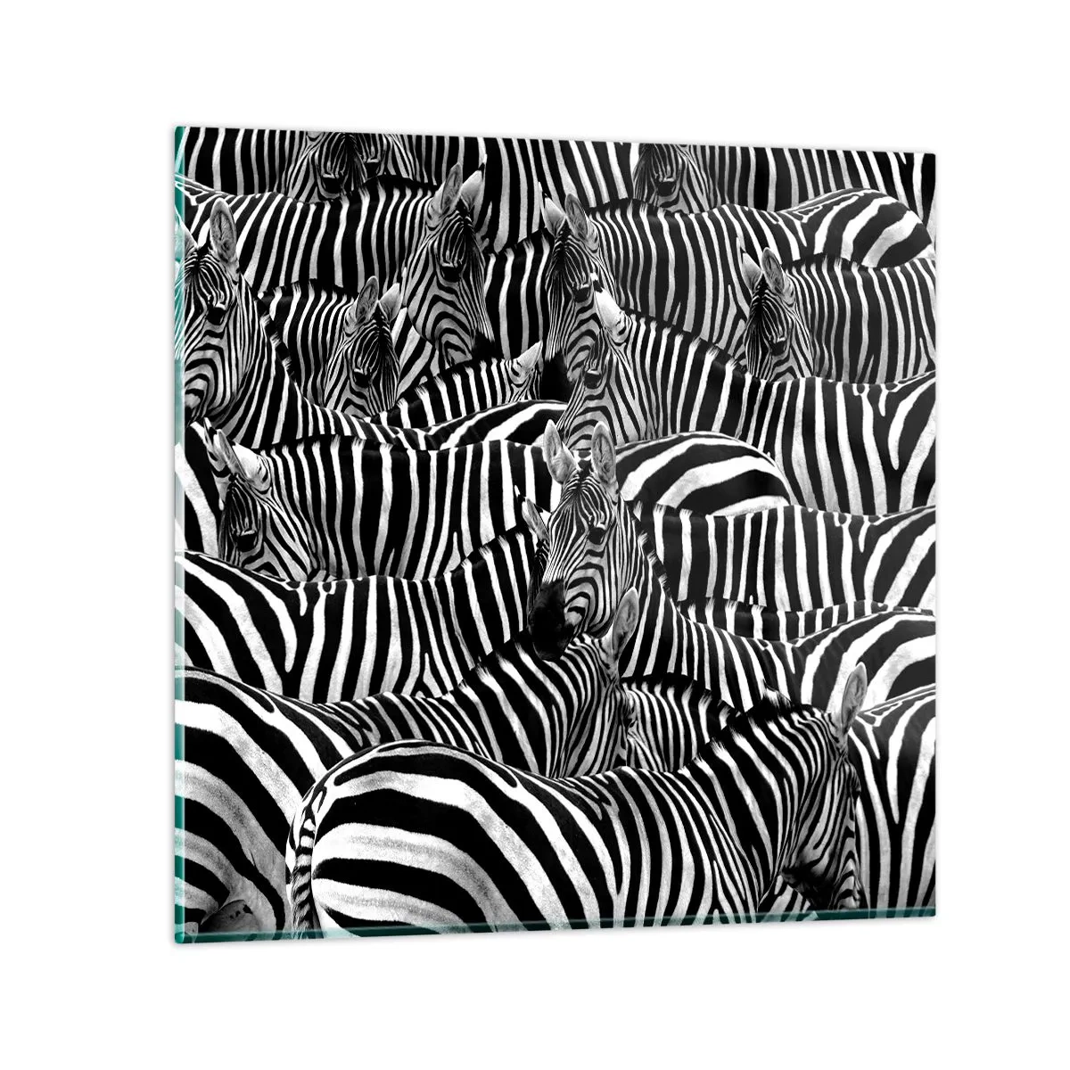 Glastavla - Bild på glas - Randig grupporträtt - 60x60 cm