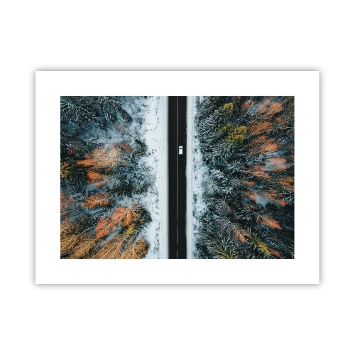 Affisch - Genom vinterskogen - 40x30 cm