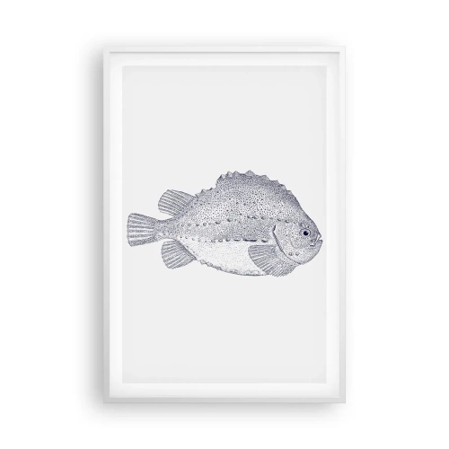 Affisch i vit ram - Till naturforskarens album - 61x91 cm