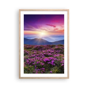 Affisch i ram av ljusek - Doftande örter - 50x70 cm