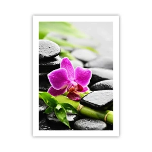 Affisch - Lugn balans - 50x70 cm