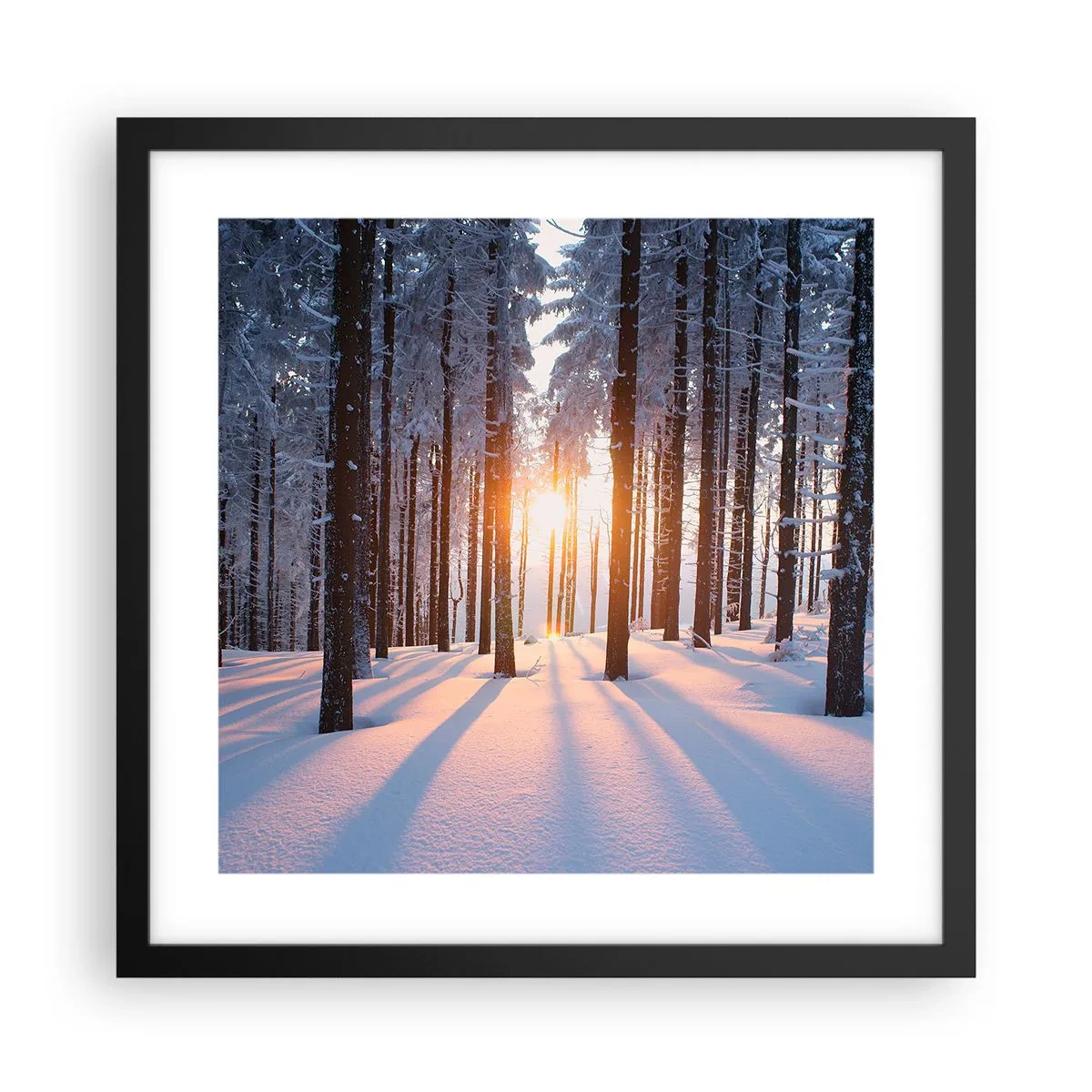 Affisch i svart ram - Tydligt svart på vitt - 40x40 cm