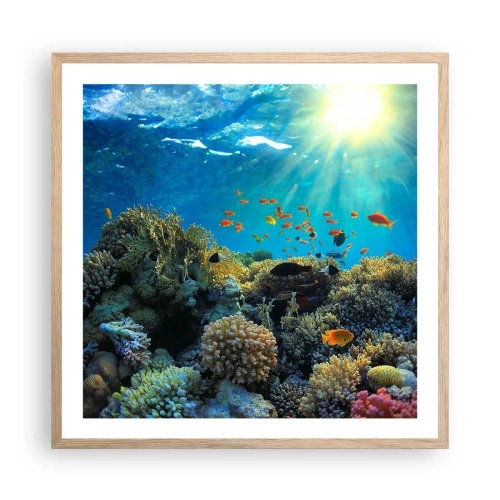 Affisch i ram av ljusek - Undervatenskatter - 60x60 cm