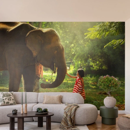 Självhäftande Fototapet Deluxe Sticker - Vänskapens styrka - Djur, Elefant, Flicka - 250x175 cm