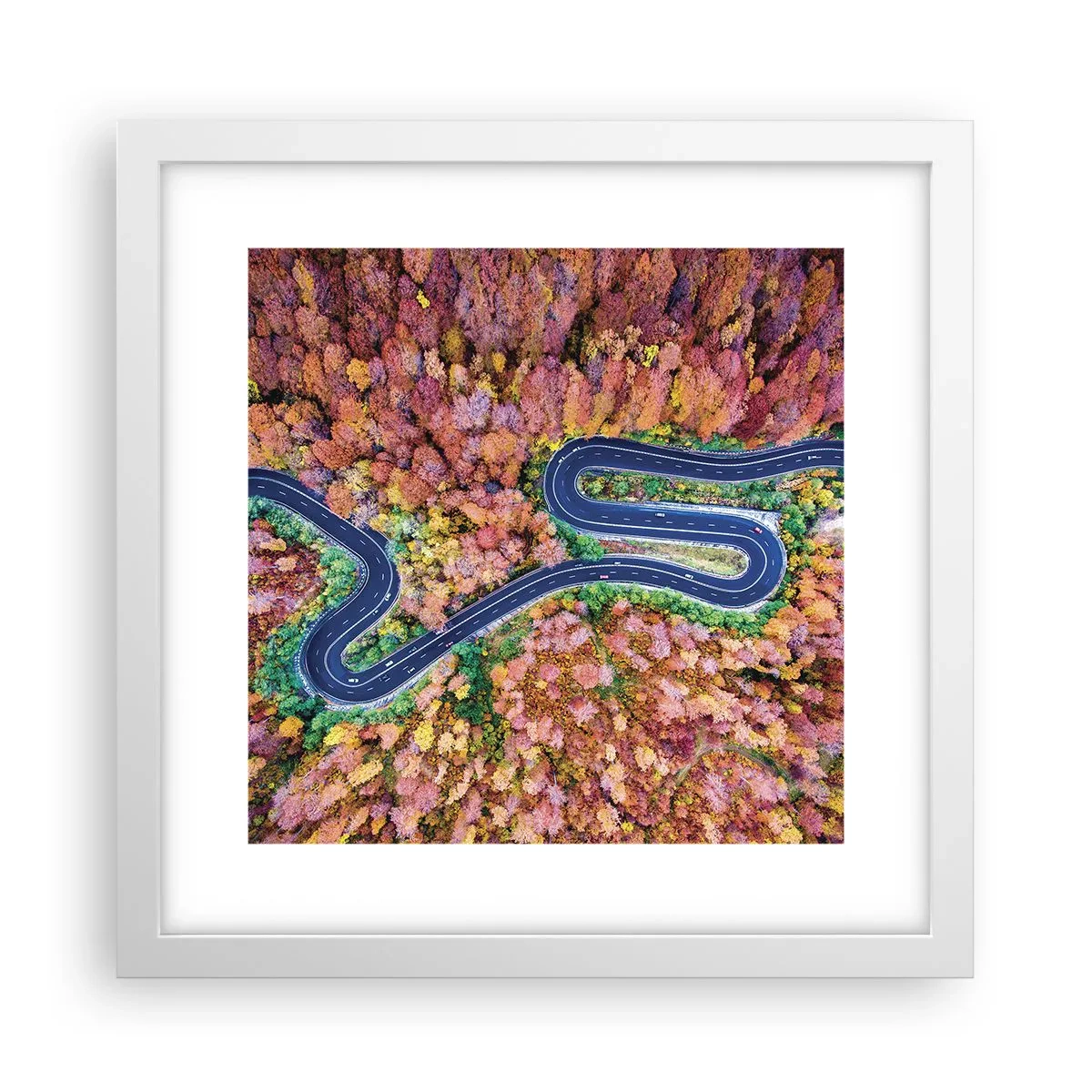 Affisch i vit ram - Slingrande väg genom skogen - 30x30 cm