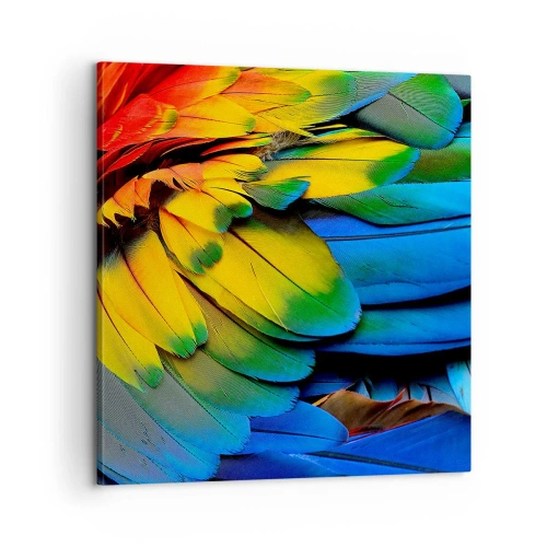 Canvastavla - Bild på duk - Paradisfågel - 60x60 cm