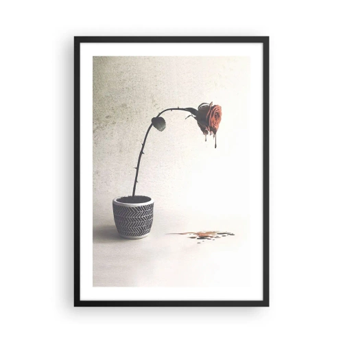 Affisch i svart ram - En krukväxtros med en konstnärlig, böljande effekt - 50x70cm - Rosa dolorosa - Modern väggdekoration för vardagsrum och sovrum ARTTOR