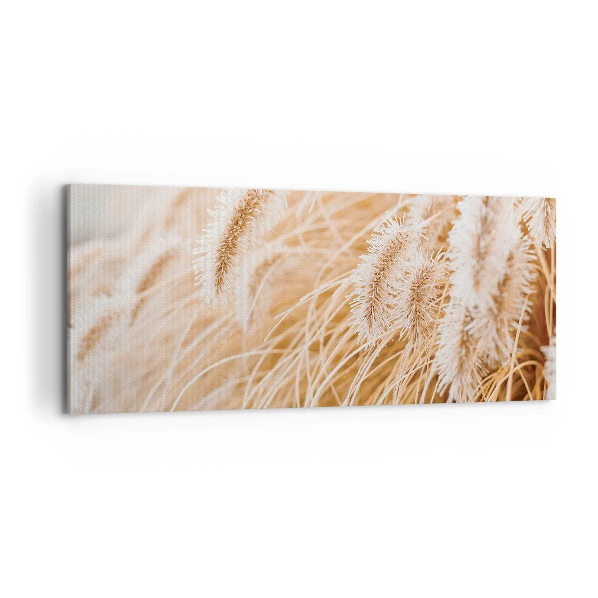 Canvastavla - Bild på duk - Gyllene gräsrassel - 120x50 cm