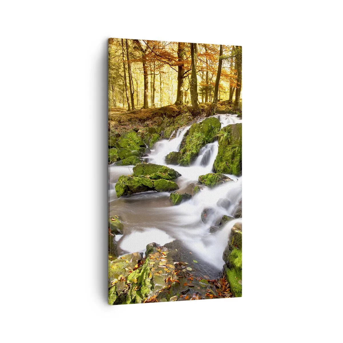 Canvastavla - Bild på duk - Kvickt genom höstskogen - 45x80 cm