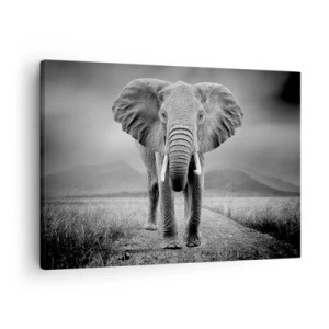 Canvastavla - Bild på duk - En mäktig elefant på savannen i monokromatiska toner - 70x50cm - Värden hälsar välkommen - Modern väggdekoration för vardagsrum och sovrum ARTTOR