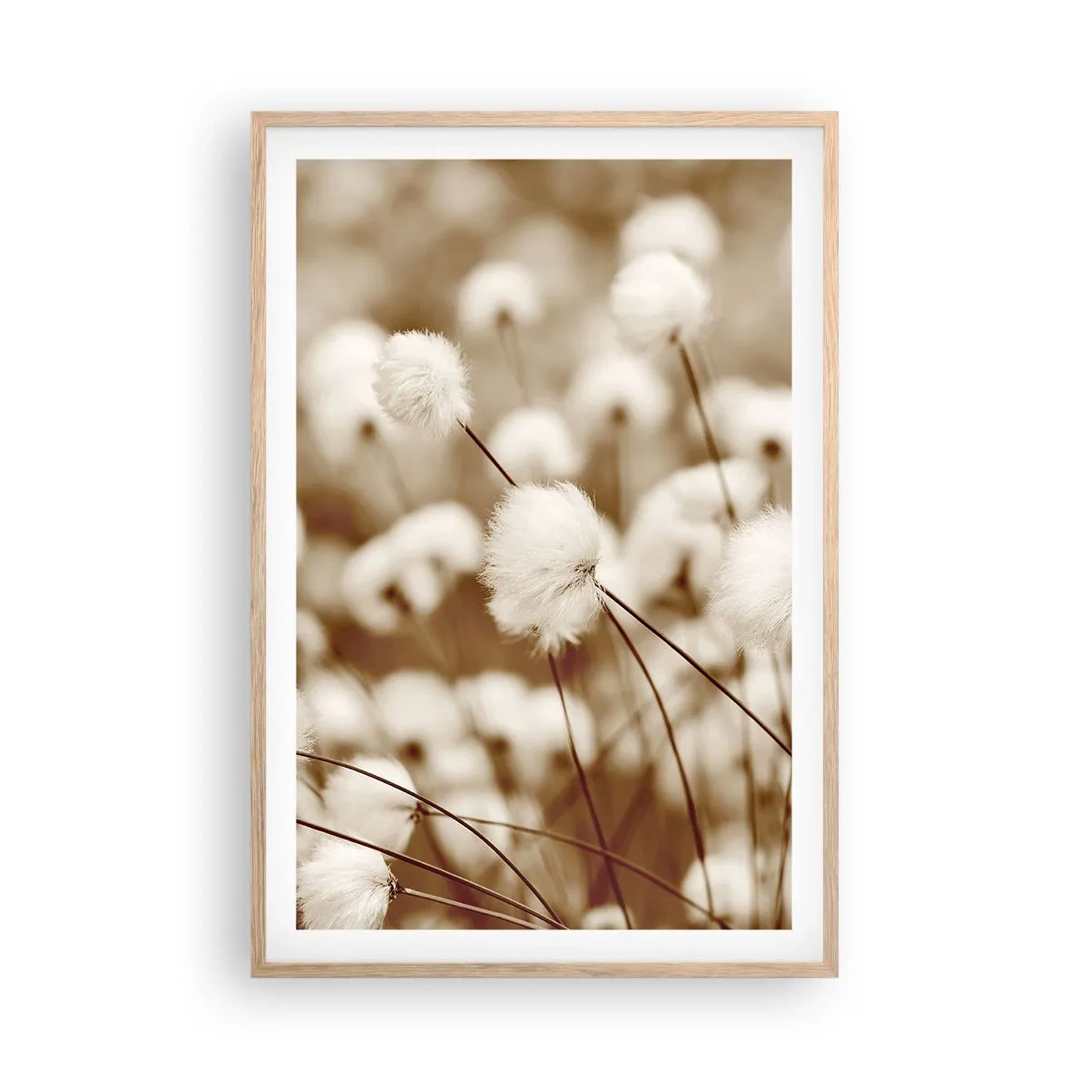 Affisch i ram av ljusek - Fluffig åkermark - 61x91 cm