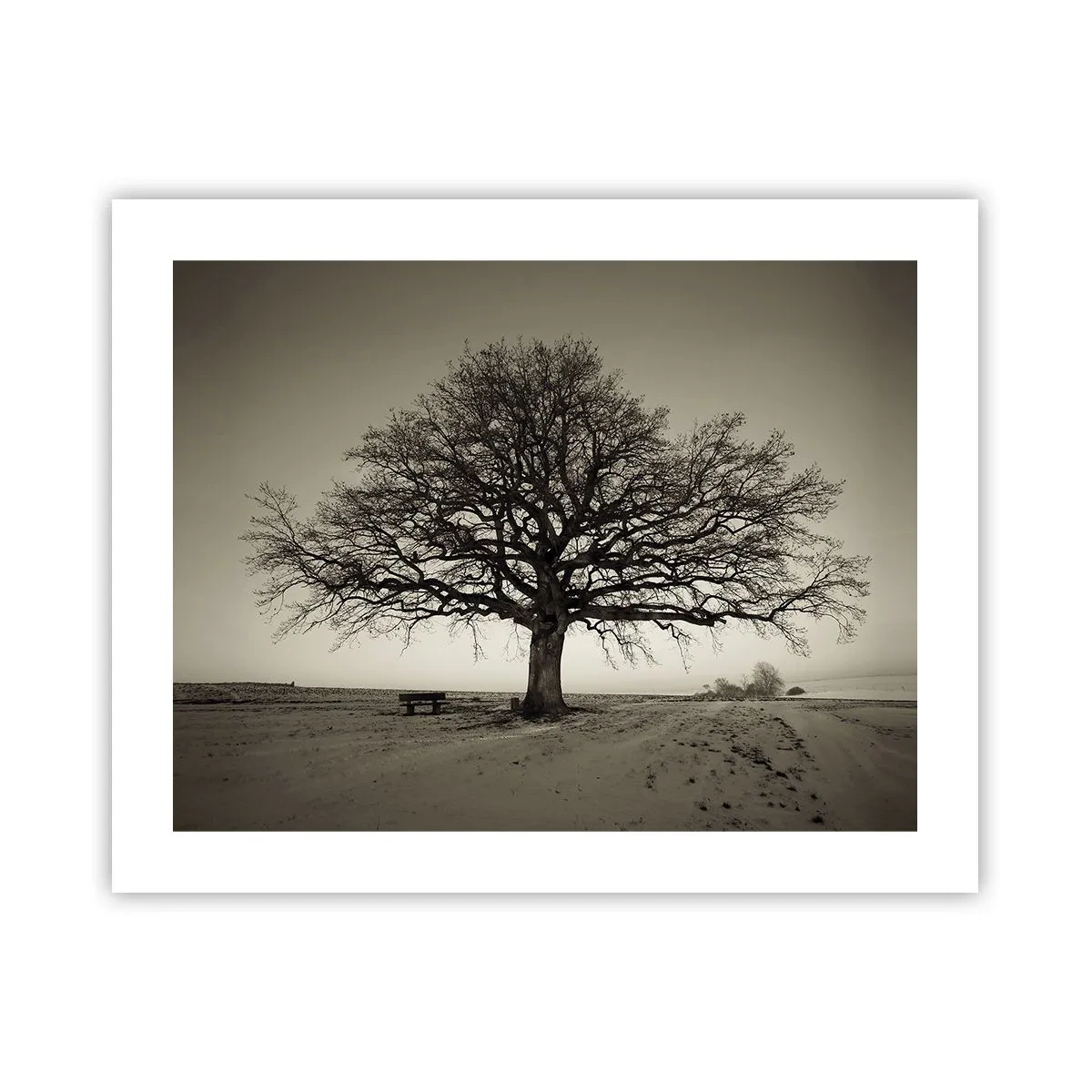 Affisch - Härifrån till evighet - 50x40 cm