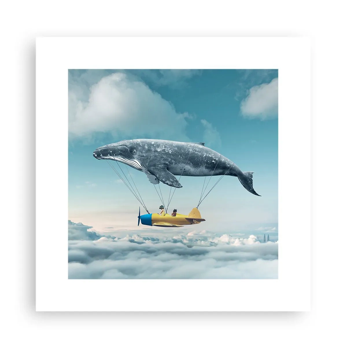 Affisch - Varför inte? - 30x30 cm