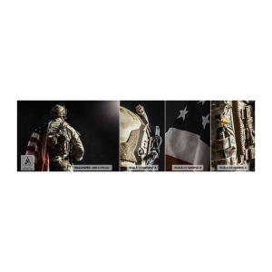Provbit av fototapet Premium Canvas - Just därför - Soldat, Amerikanska flaggan, Kommando - 100x30 cm