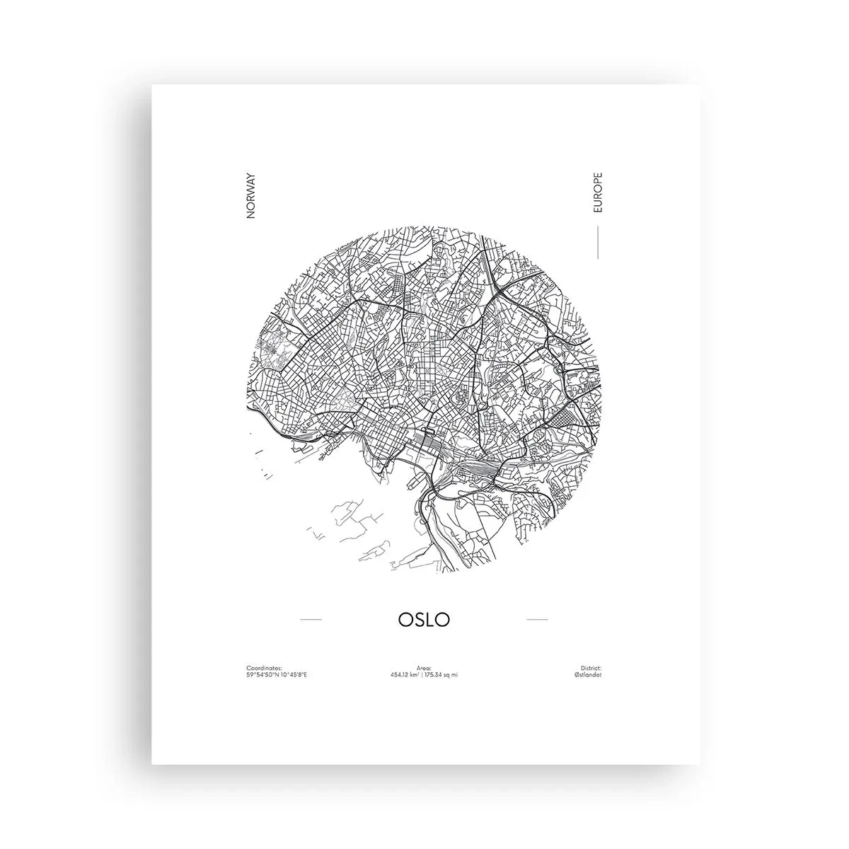 Affisch - Oslos anatomi - 40x50 cm