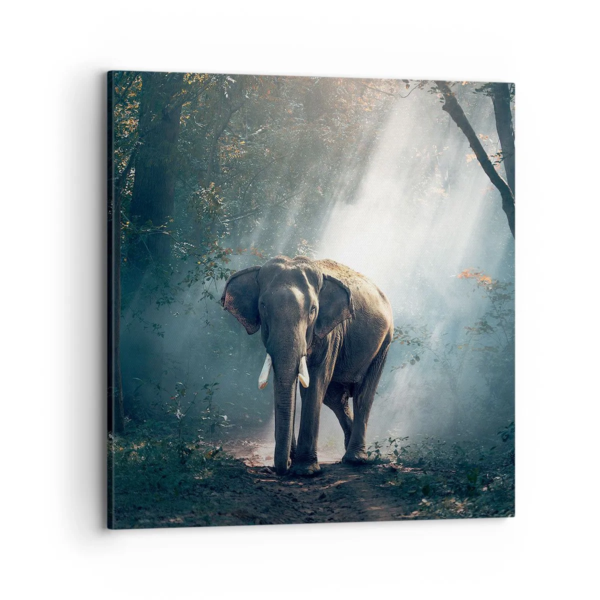 Canvastavla - Bild på duk - Lugn promenad - 70x70 cm