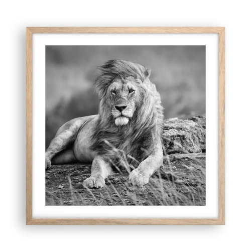 Affisch i ram av ljusek - Kunglig siesta - 50x50 cm