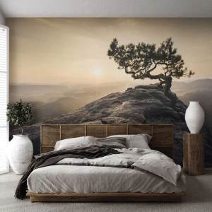 Fototapet Premium Sand - Livet vinner alltid - Bergslandskap, Tall, Berg - 100x70 cm