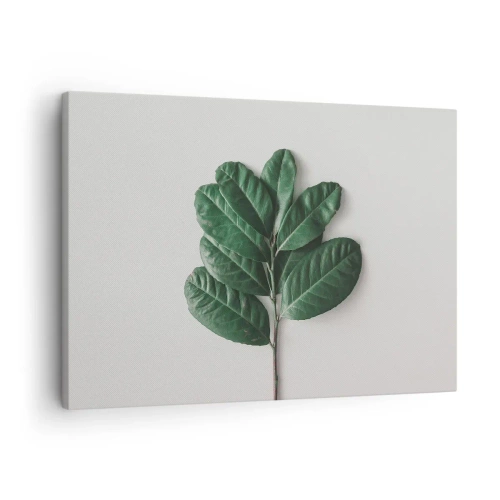 Canvastavla - Bild på duk - En kvist gröna blad på en ljus bakgrund - 70x50cm - Själva naturens bild - Modern väggdekoration för vardagsrum och sovrum ARTTOR