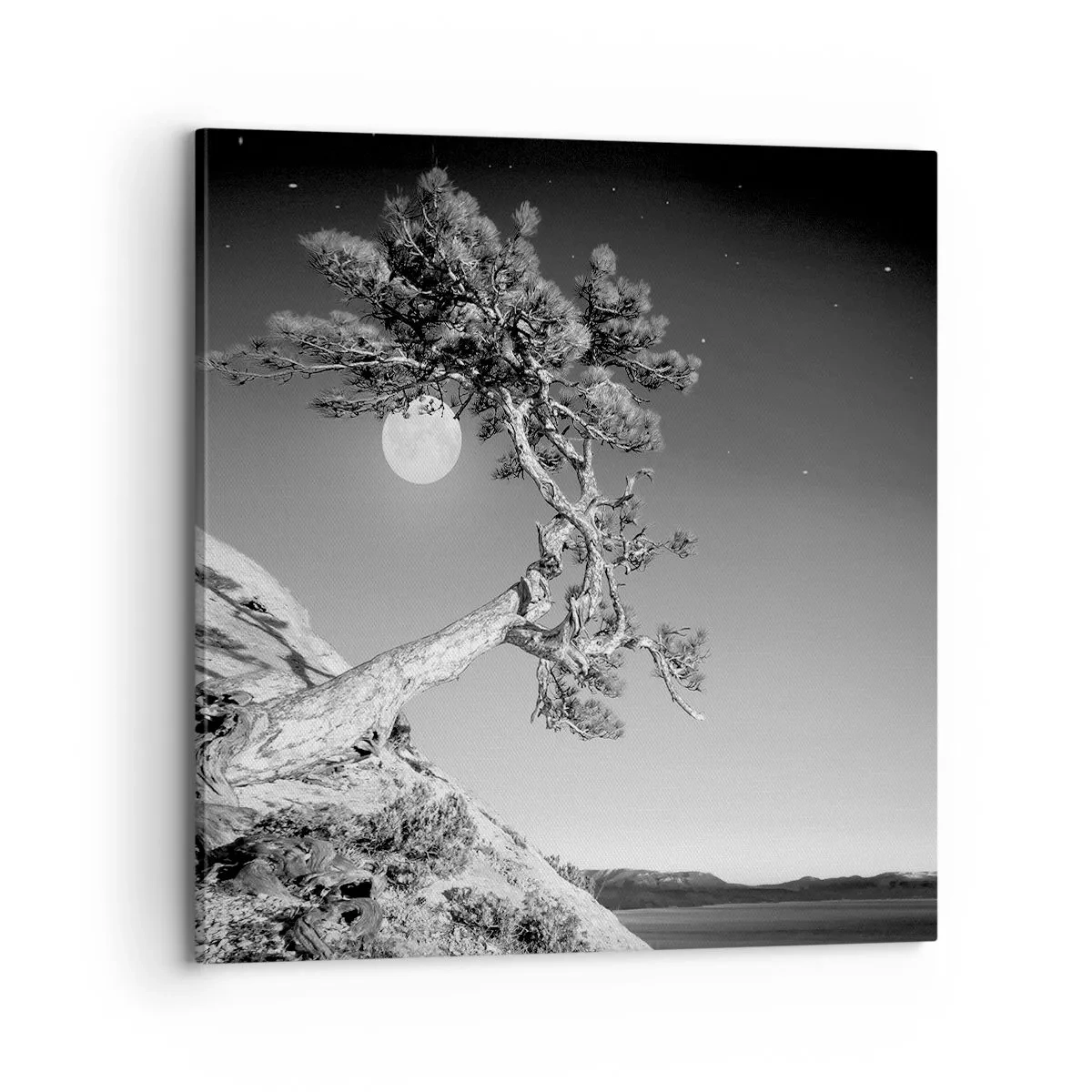 Canvastavla - Bild på duk - Segerrik kämpe - 70x70 cm