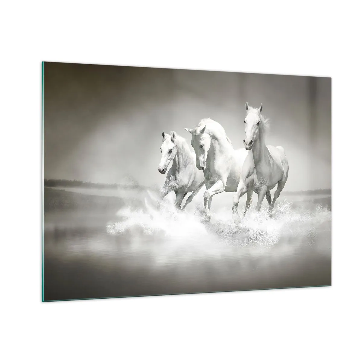 Glastavla - Bild på glas - Vit vildhet - 100x70 cm