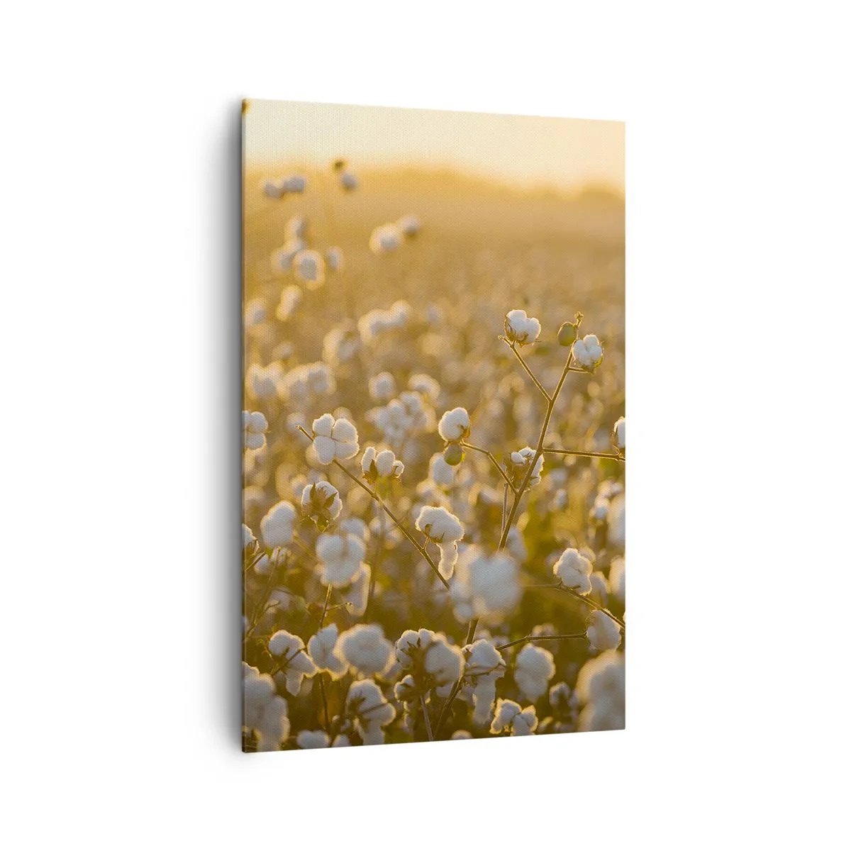 Canvastavla - Bild på duk - Fluffigt fält - 80x120 cm