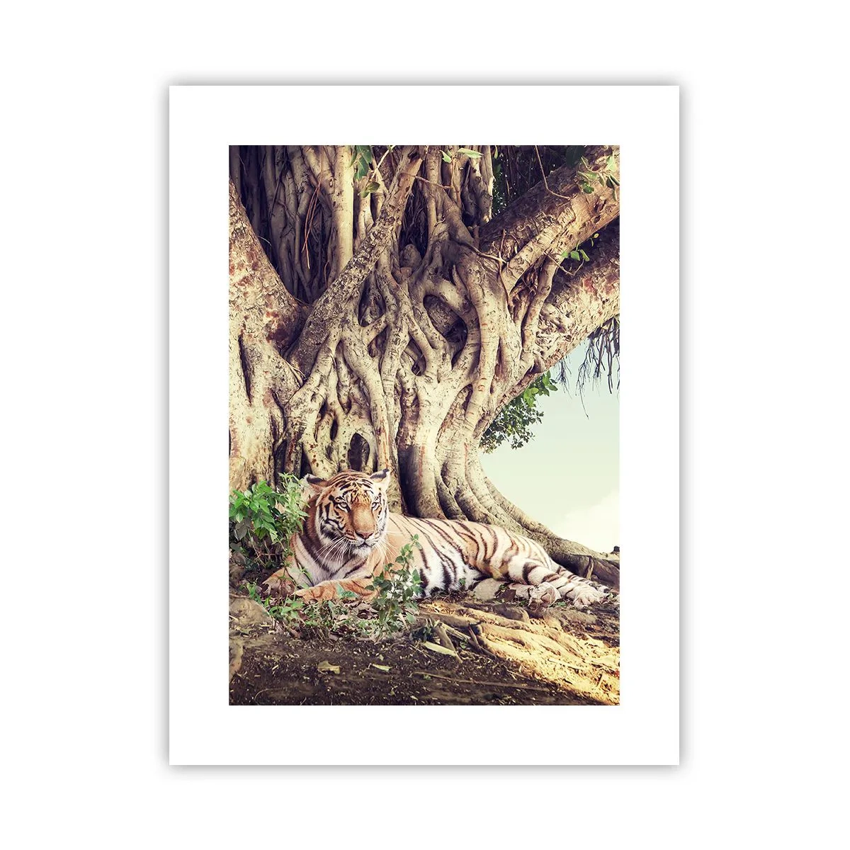 Affisch - Vi från Första Moseboken - 30x40 cm