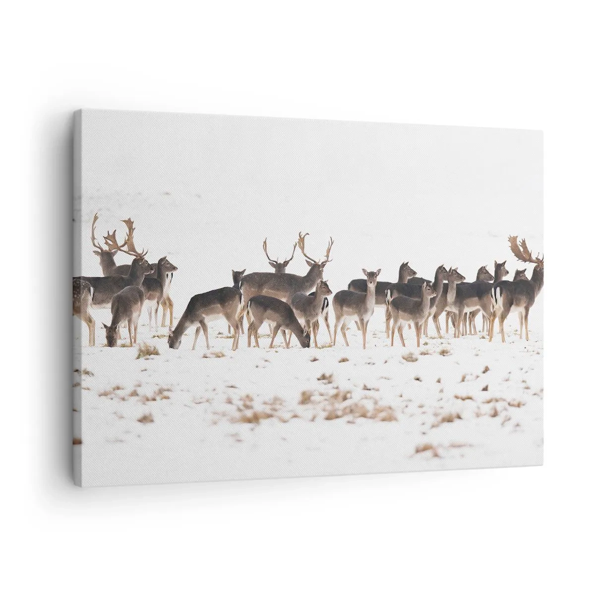 Canvastavla - Bild på duk - En hjortflock mot en snöig bakgrund - 70x50cm - Julen är på väg? - Modern väggdekoration för vardagsrum och sovrum ARTTOR