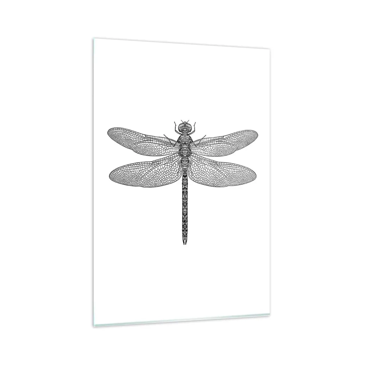 Glastavla - Bild på glas - Precision i naturen - 80x120 cm