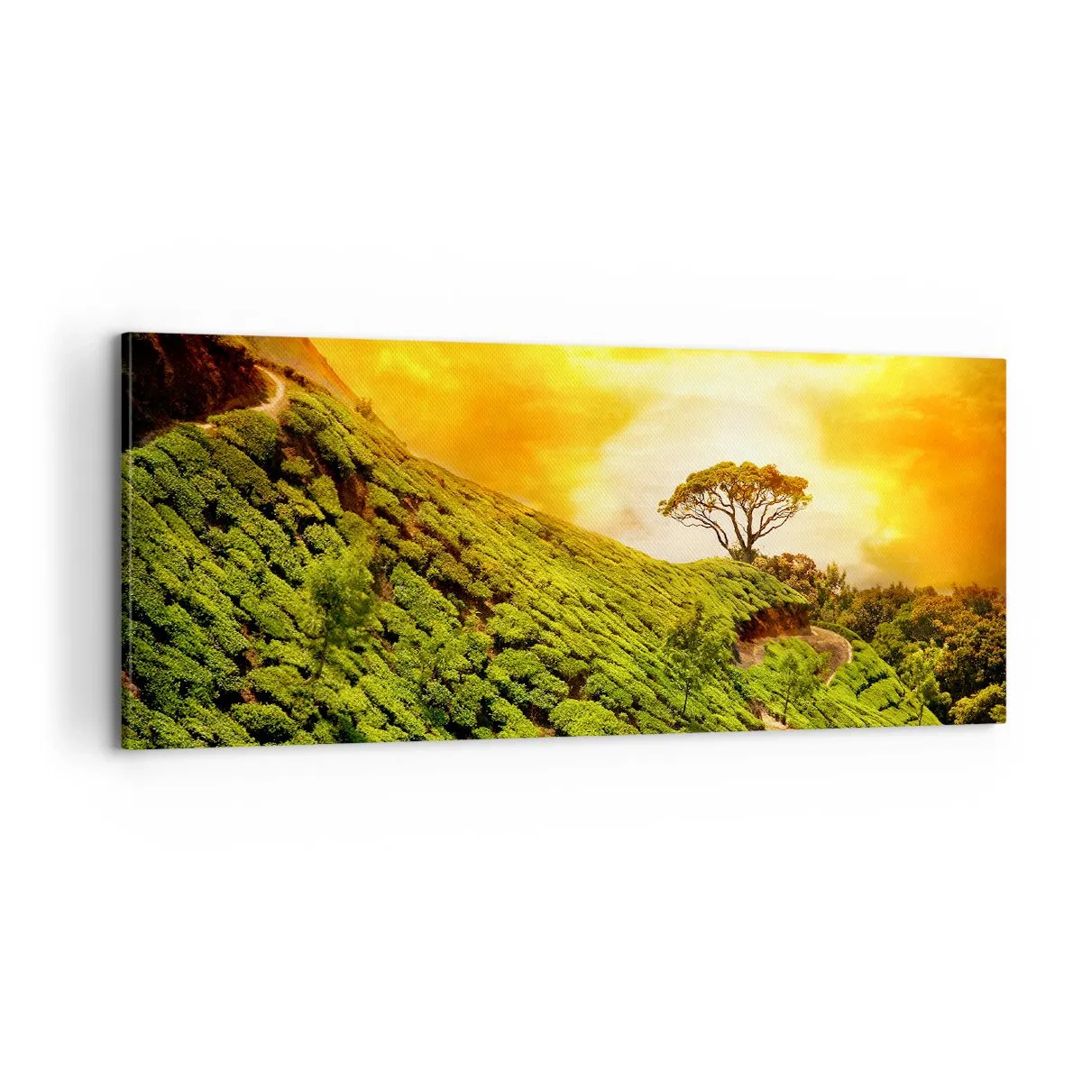 Canvastavla - Bild på duk - Genom slingrande stig, grön backe - 100x40 cm
