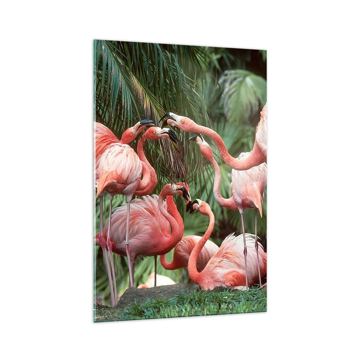 Glastavla - Bild på glas - Eftermiddags skvaller - 70x100 cm