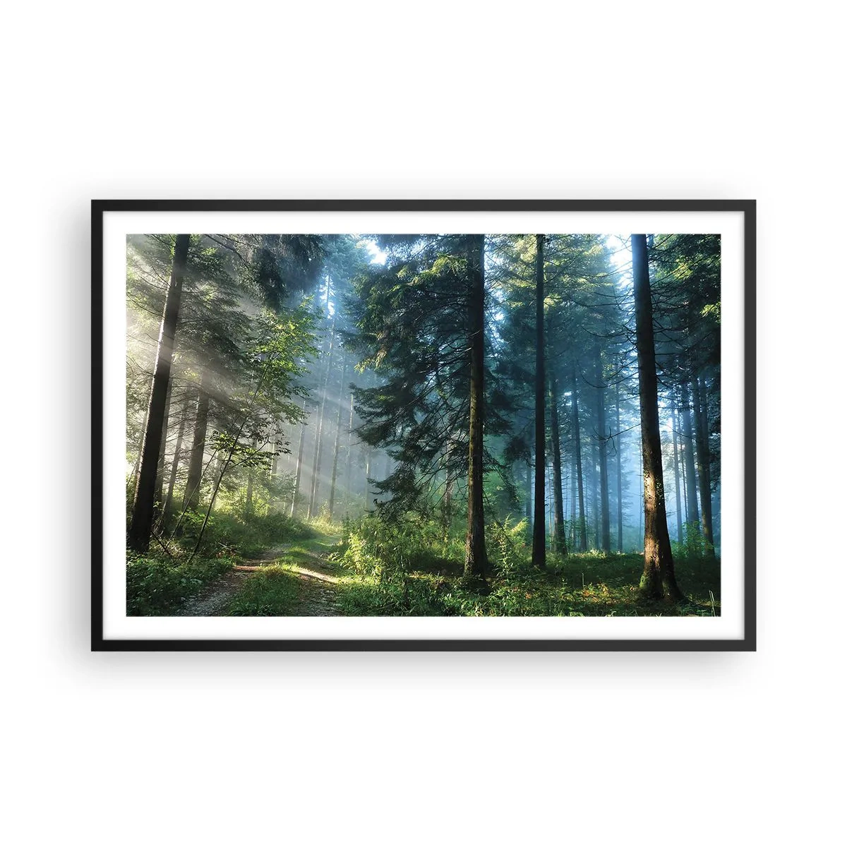 Affisch i svart ram - Strålande på morgonen - 91x61 cm