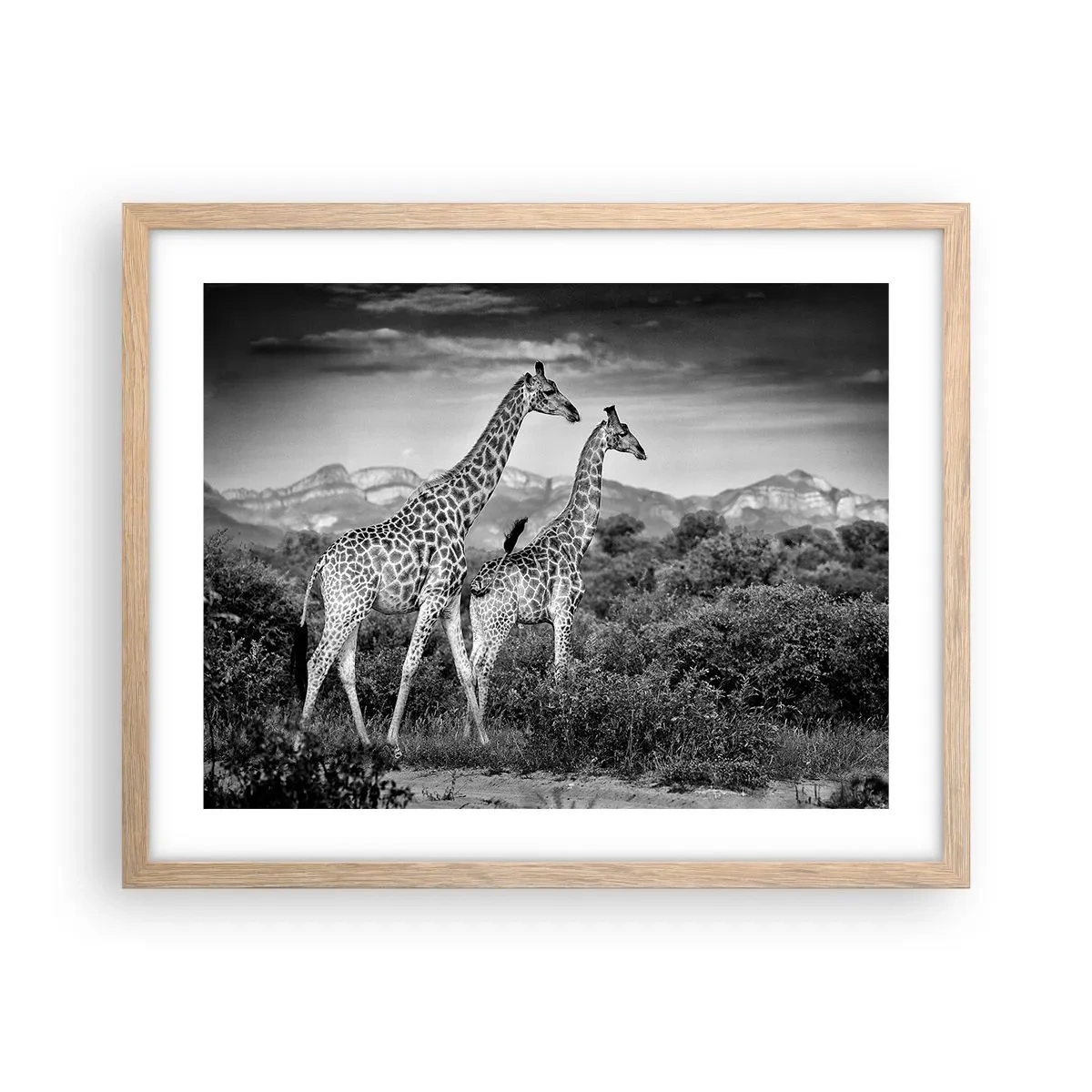 Affisch i ram av ljusek - Högre klasser i Afrika - 50x40 cm