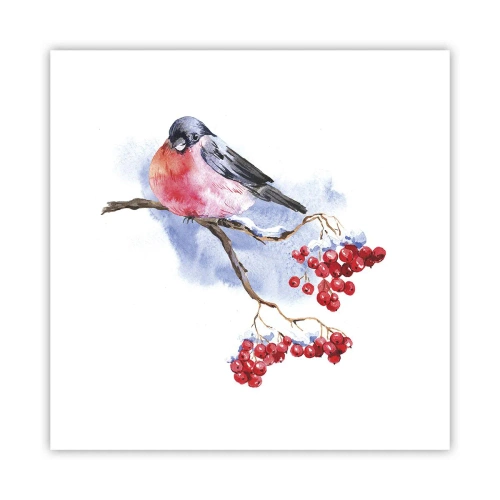 Affisch - Vinter i färger - 40x40 cm