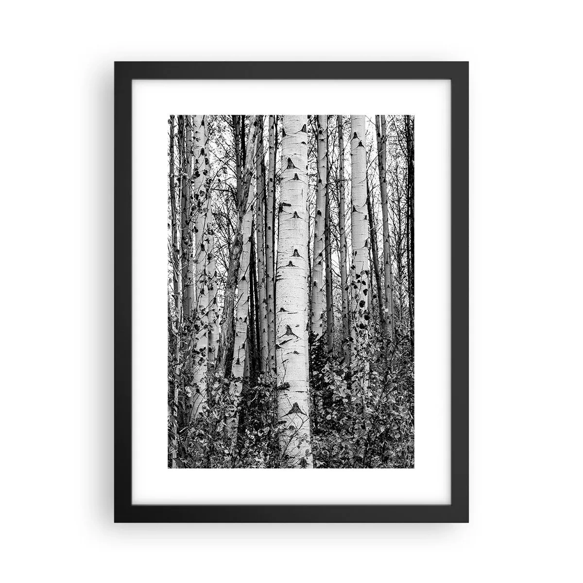 Affisch i svart ram - Björkpelargång - 30x40 cm